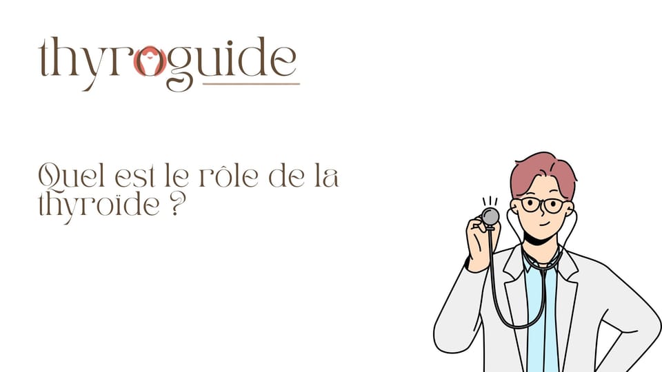 Quel est le rôle de la thyroïde ?